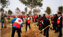河南省红十字会积极响应号召 组织参加义务植树造林活动
